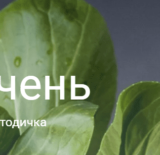 Методичка Печень
