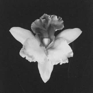 Маточные практики