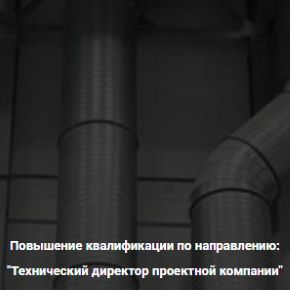 Технический директор проектной компании [Pro-z] [Владимир Белугин]