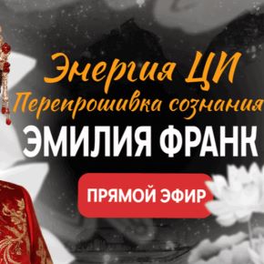 Перепрошивка сознания. Создание целостности системы для коррекции сценария [Эмилия Франк]