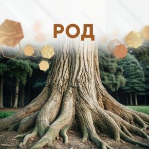[Любовь Пищалкина] [Дар Феникса] Родовая Сила (2025)