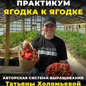 [Реальный садовод] Практикум ягодка к ягодке (Татьяна Холомьёва)