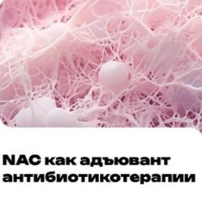 NAC как адьювент антибиотикотерапии (Андрей Гострый)