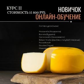 [СорокаСыр] Настоящая школа сыроделия. Курс 2 (Жанна Дементьева)