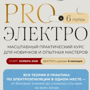[Галина Орлова] ProЭлектро. 6 поток. Тариф Я сама (2026)