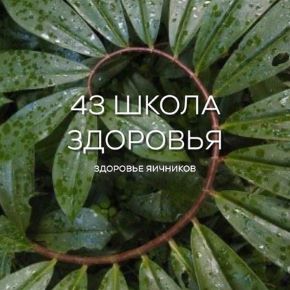 [Галина Гарбузова] [garbuzova.pro] Школа здоровья поток 44. Яичники. Тариф Базовый. Май (2026)
