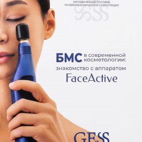 [Gess] Методическое пособие по БМС