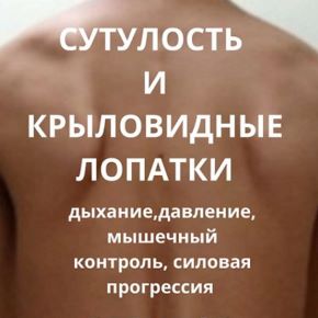 [Александр Волоткевич] Сутулость и крыловидные лопатки. Дыхание, давление, мышечный контроль, силовая прогрессия (2026)