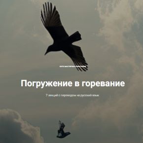 Погружение в горевание (Диана Каяфа, Мюррей Стайн)