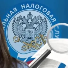 [klerk, Сусанна Колесникова] Ответы на требования ФНС — 2026: алгоритмы, сроки, защита клиента. Консультация с налоговым консультантом (2026)
