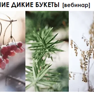 [You Russia] Зимние дикие букеты (Наташа Бартон)