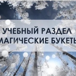 [You Russia] Магический букет "Энергия зимы" (Наталья Бартон)