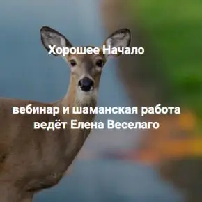 [Институт Открытого поля] Хорошее начало (Елена Веселаго)