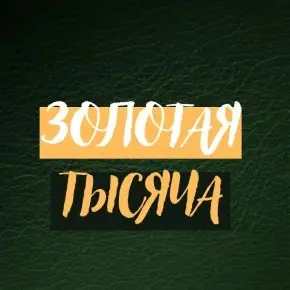 [vasilinfo] Василина Баранова - Золотая тысяча. Том 9 (2026)