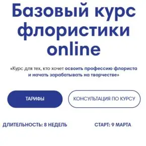 [Terra School] Базовый курс флористики online. Тариф Базовый