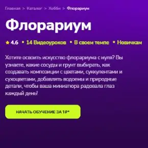 [TutorPlace, Дарья Черданцева] Флорариум (2026)