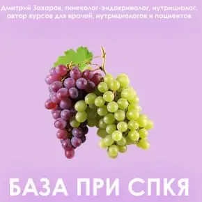 [Дмитрий Захаров] База при СПКЯ (2026)