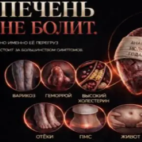 Печень – основа здоровья. Печень не болит (Наталья Каракоч)